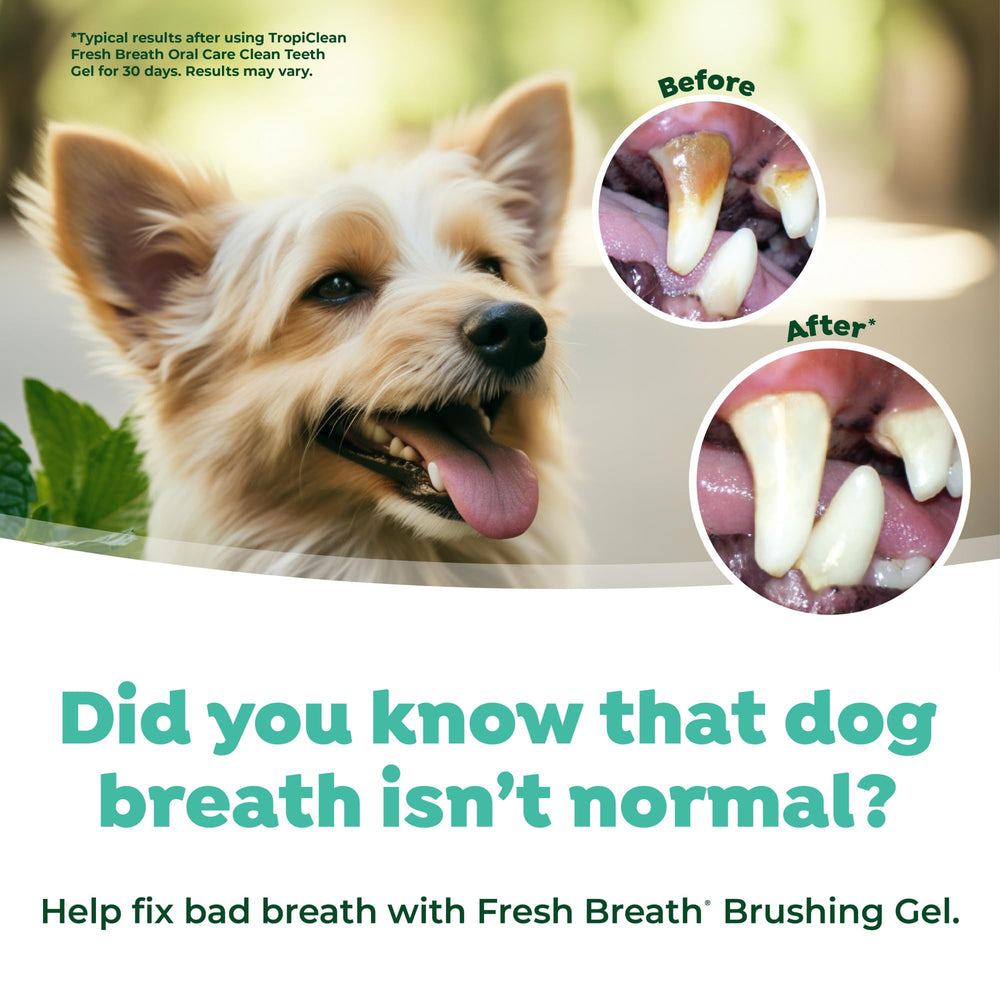 Uso universal para perros y gatos en cuidado bucal de ambas especies.