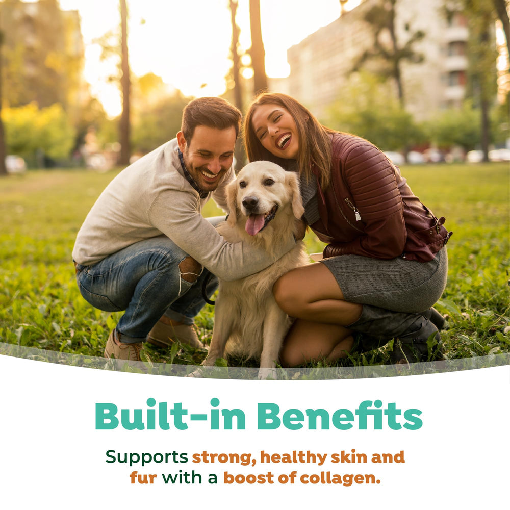 TropiClean VOHC reconocido: certificado para la salud bucal de perros.