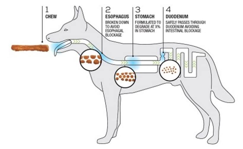 TRURANCH snack para perros grandes, ideal para masticar durante paseos o juegos.