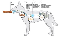 TRURANCH snack para perros grandes, ideal para masticar durante paseos o juegos.
