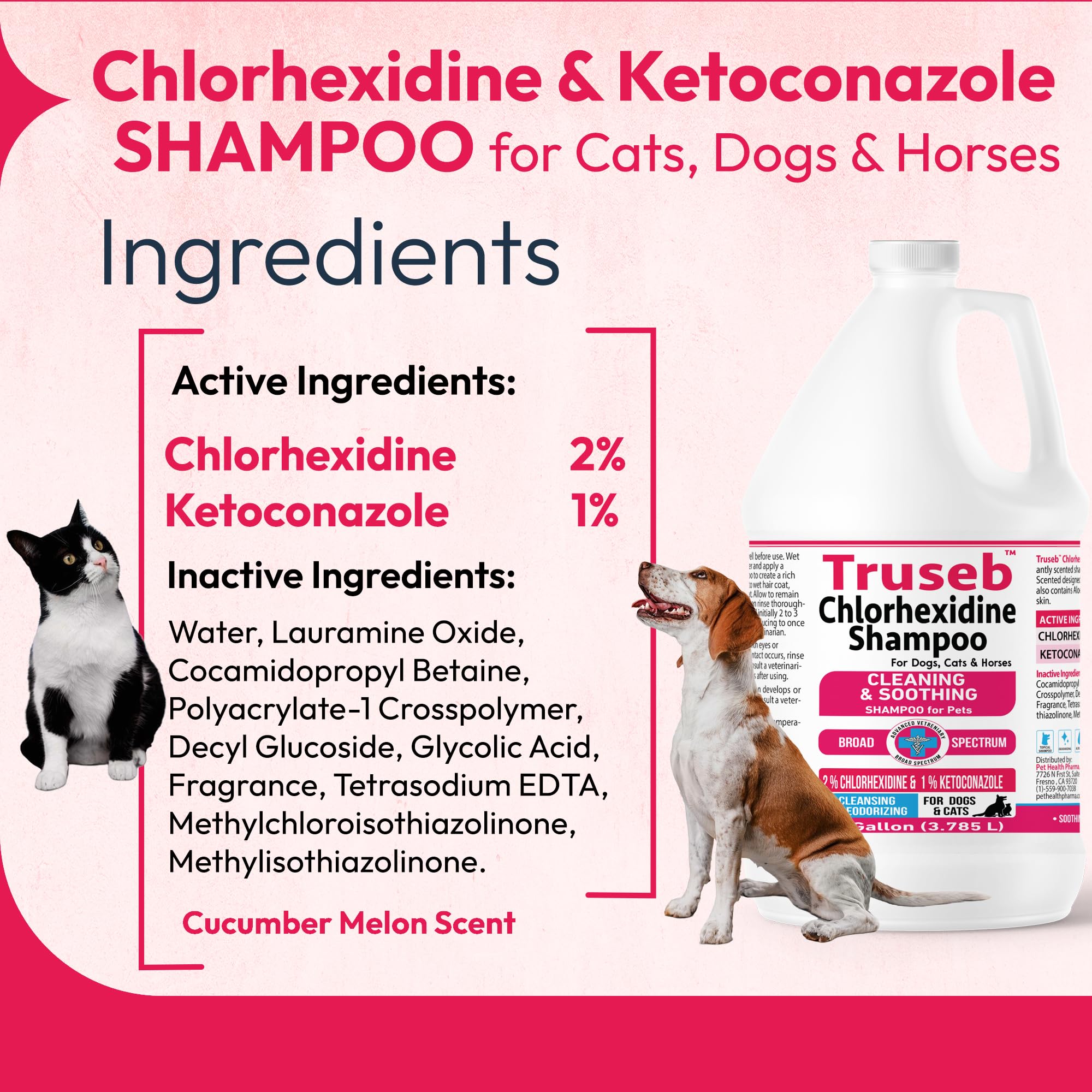Truseb: espuma de lavado lista para aplicar en pelaje de perros, gatos y caballos.