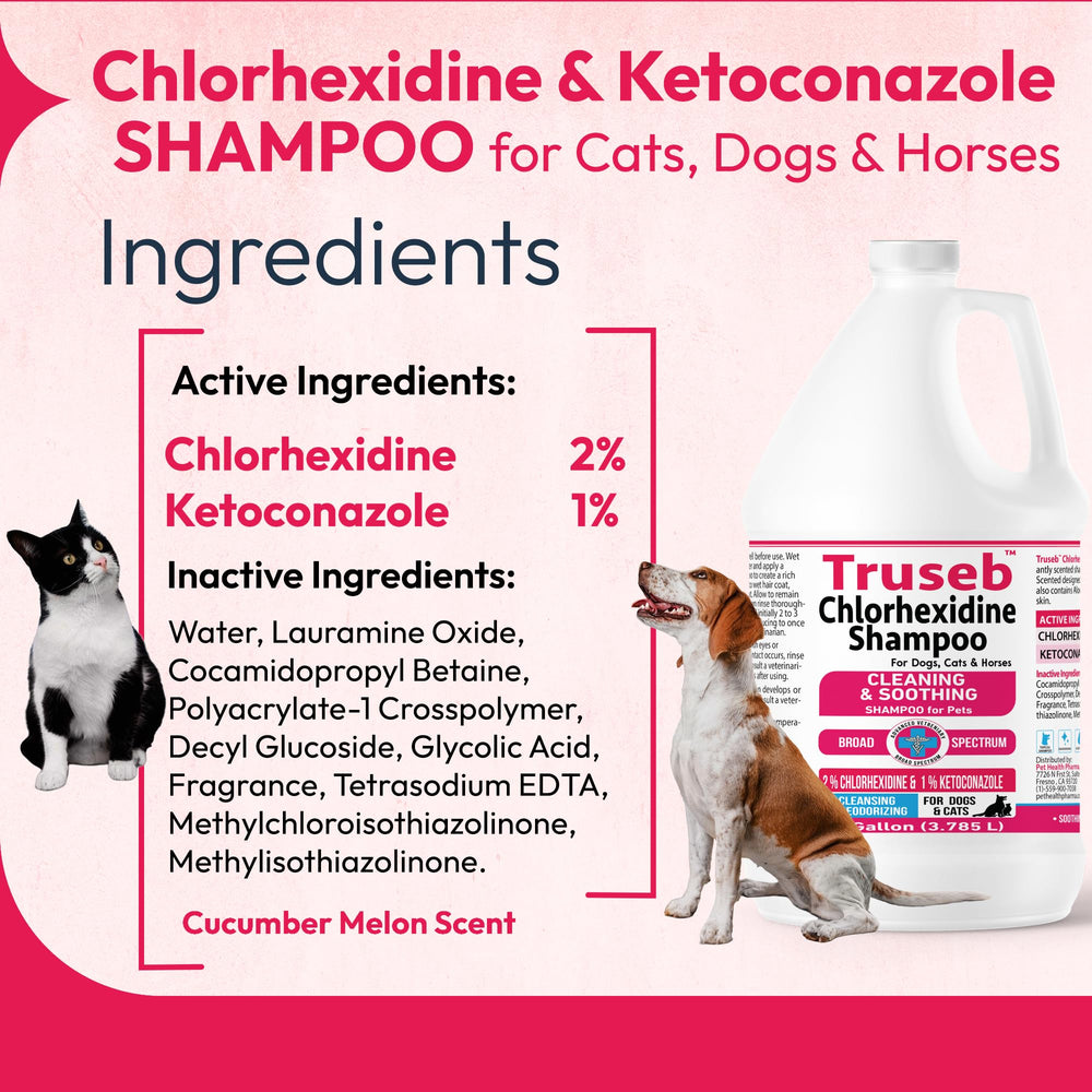 Truseb: espuma de lavado lista para aplicar en pelaje de perros, gatos y caballos.