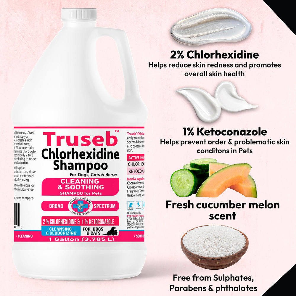 Truseb: perro con pelaje suave y brillante tras el lavado.