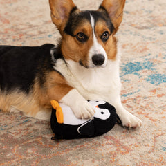 TrustyPup Sonido ultrasonico: juguete silencioso para perros activos