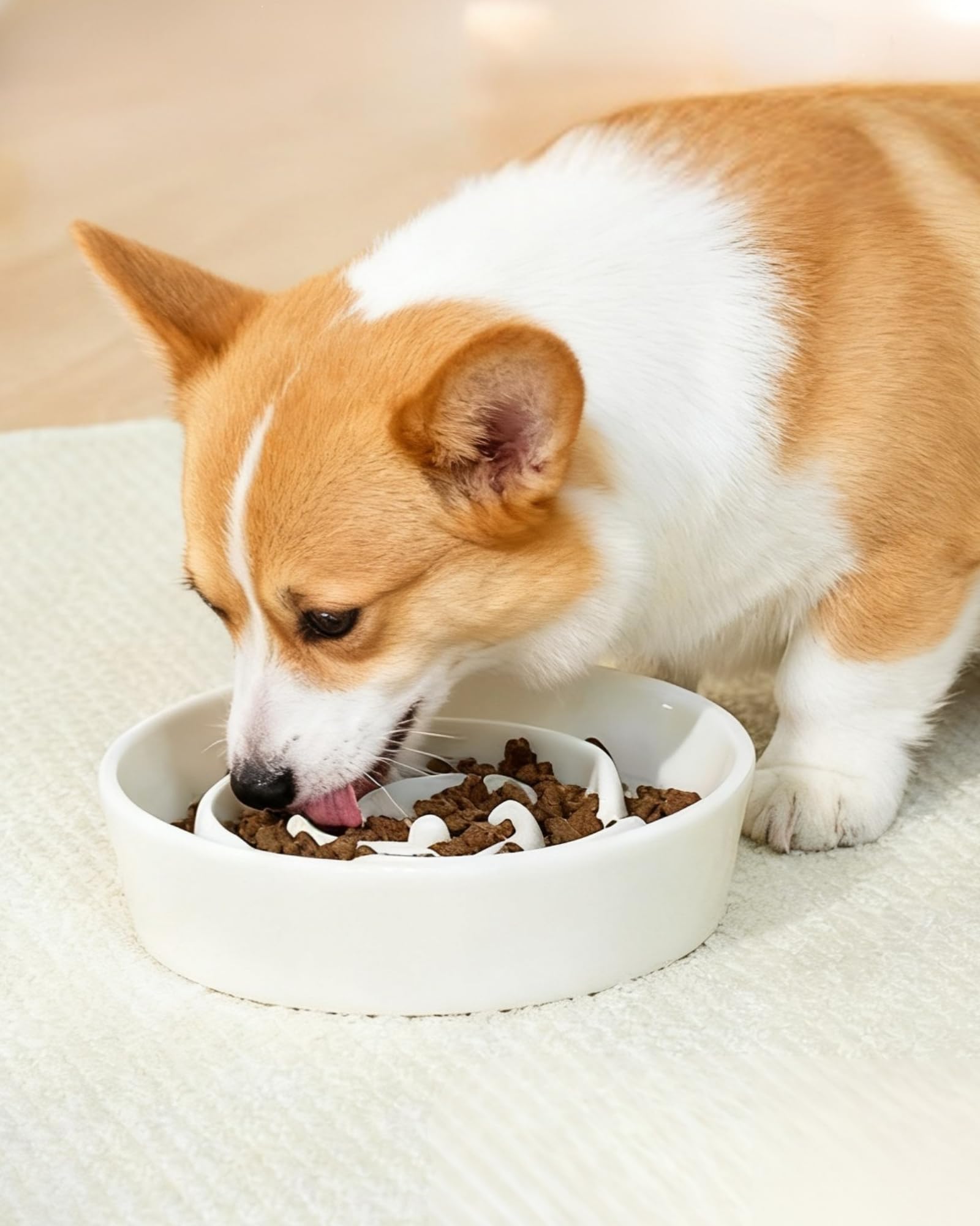 TRUVIC plato cerámico para perros blanco, fácil de limpiar.