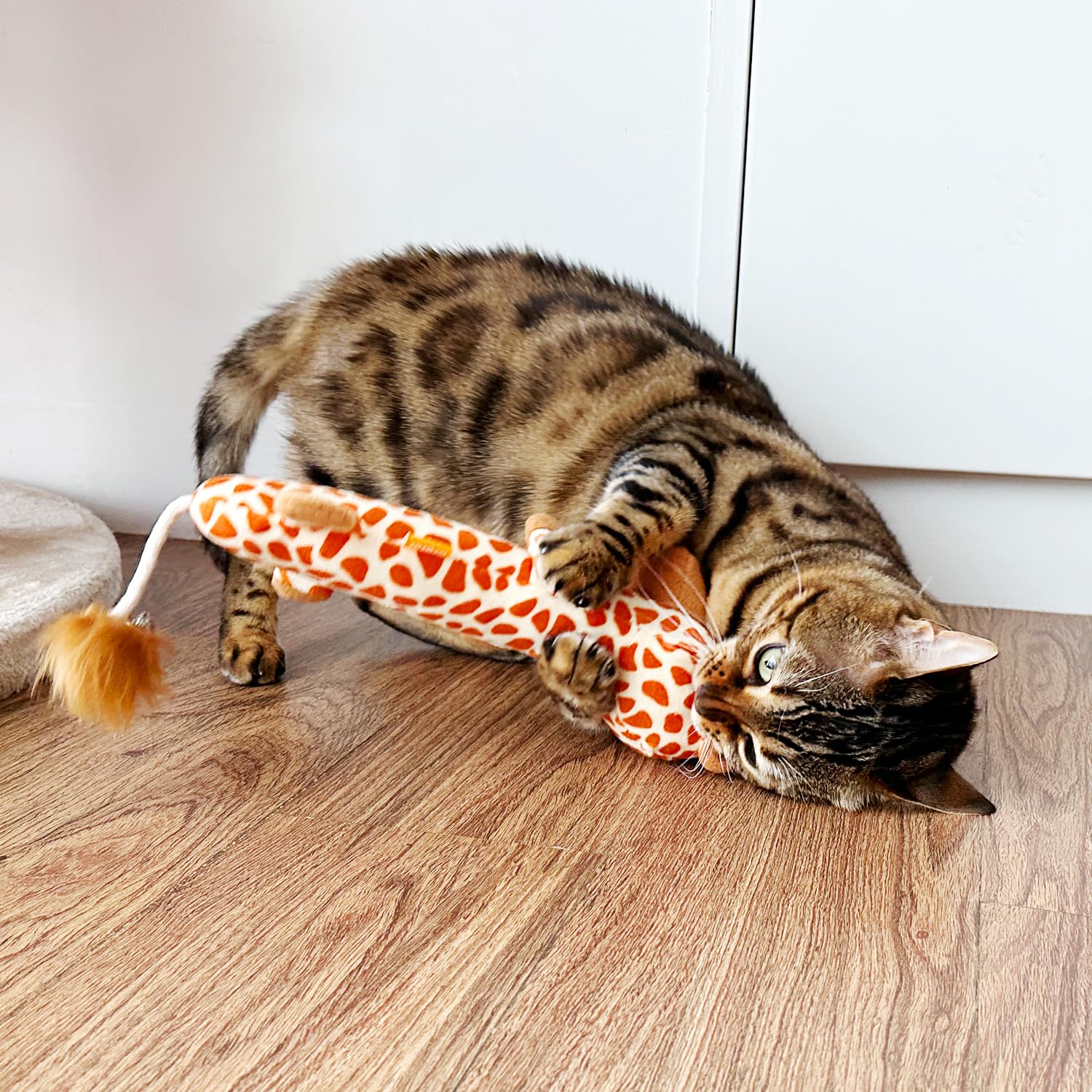 TTcat almohada para gatos y gatitos, adecuada para todas las edades.