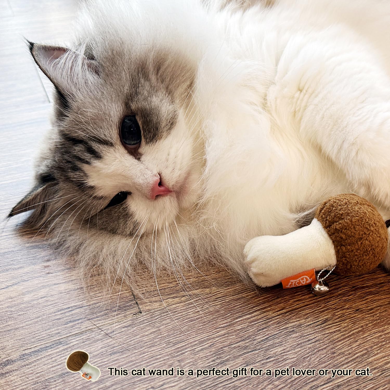 TTcat regalo ideal para amantes de gatos y sus felinos.