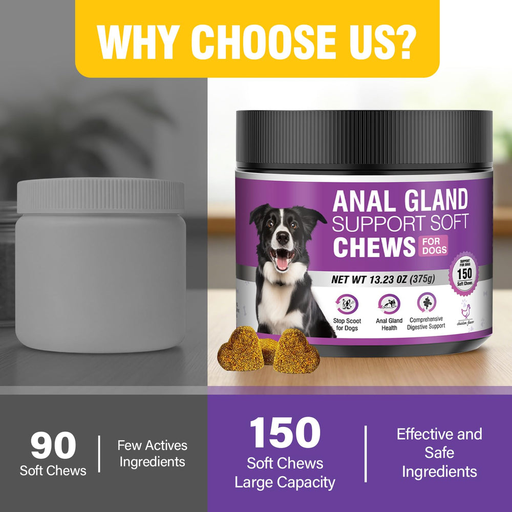 TTIXRL probioticos y enzimas para una digestión equilibrada.
