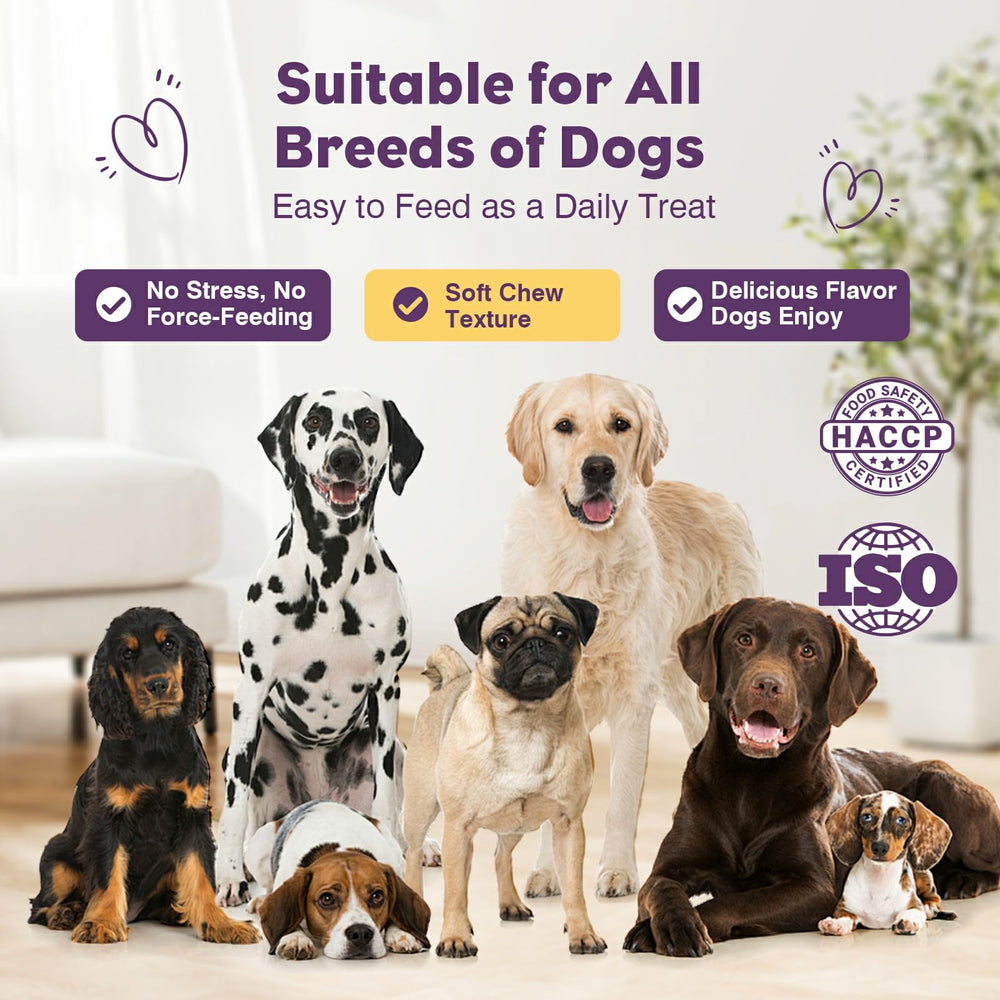 TTLXRL apoyo digestivo para perros durante la comida.