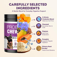 TTLXRL Bacillus subtilis: probiótico canino para equilibrio intestinal.