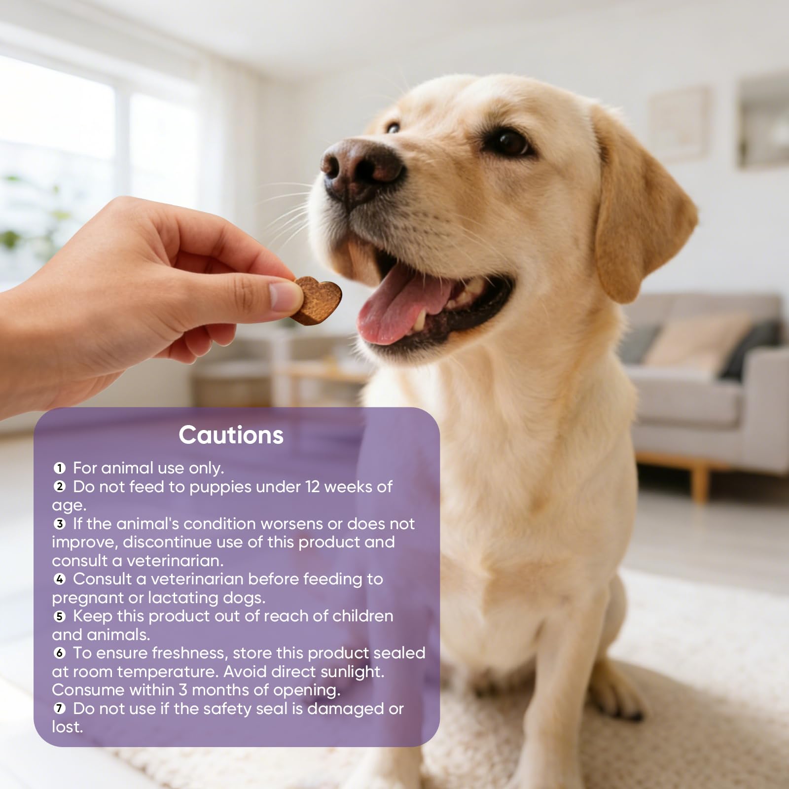 TTLXRL Calming Chews útiles en visitas al veterinario.