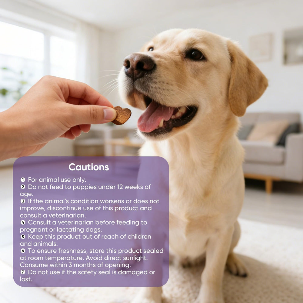 TTLXRL Calming Chews útiles en visitas al veterinario.
