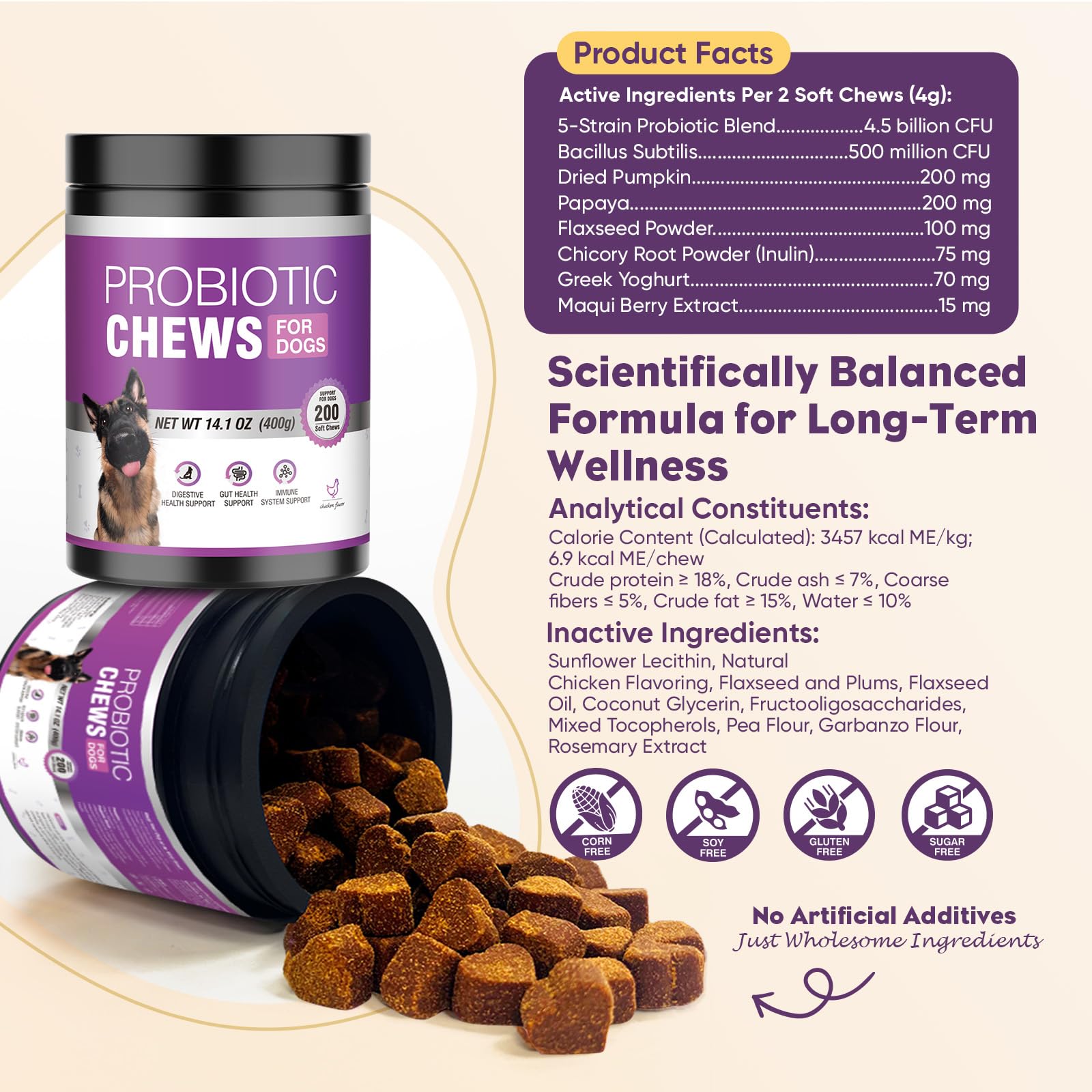 TTLXRL chicoria y prebióticos para flora intestinal saludable.