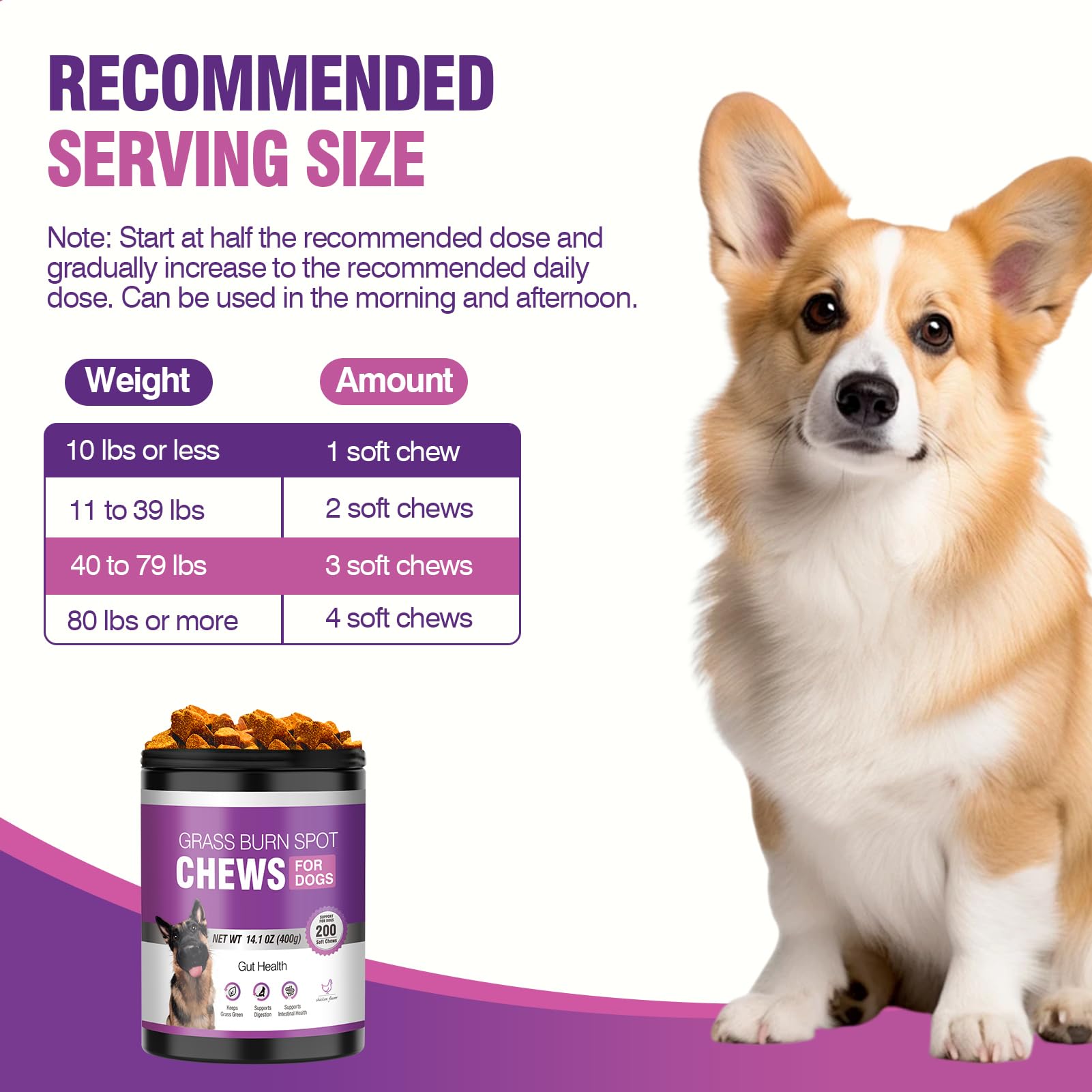 TTLXRL ayuda digestiva y urinaria para perros.