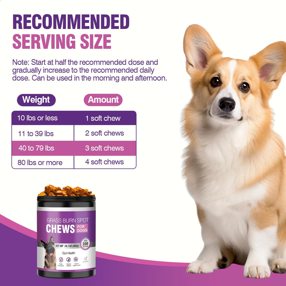 TTLXRL ayuda digestiva y urinaria para perros.