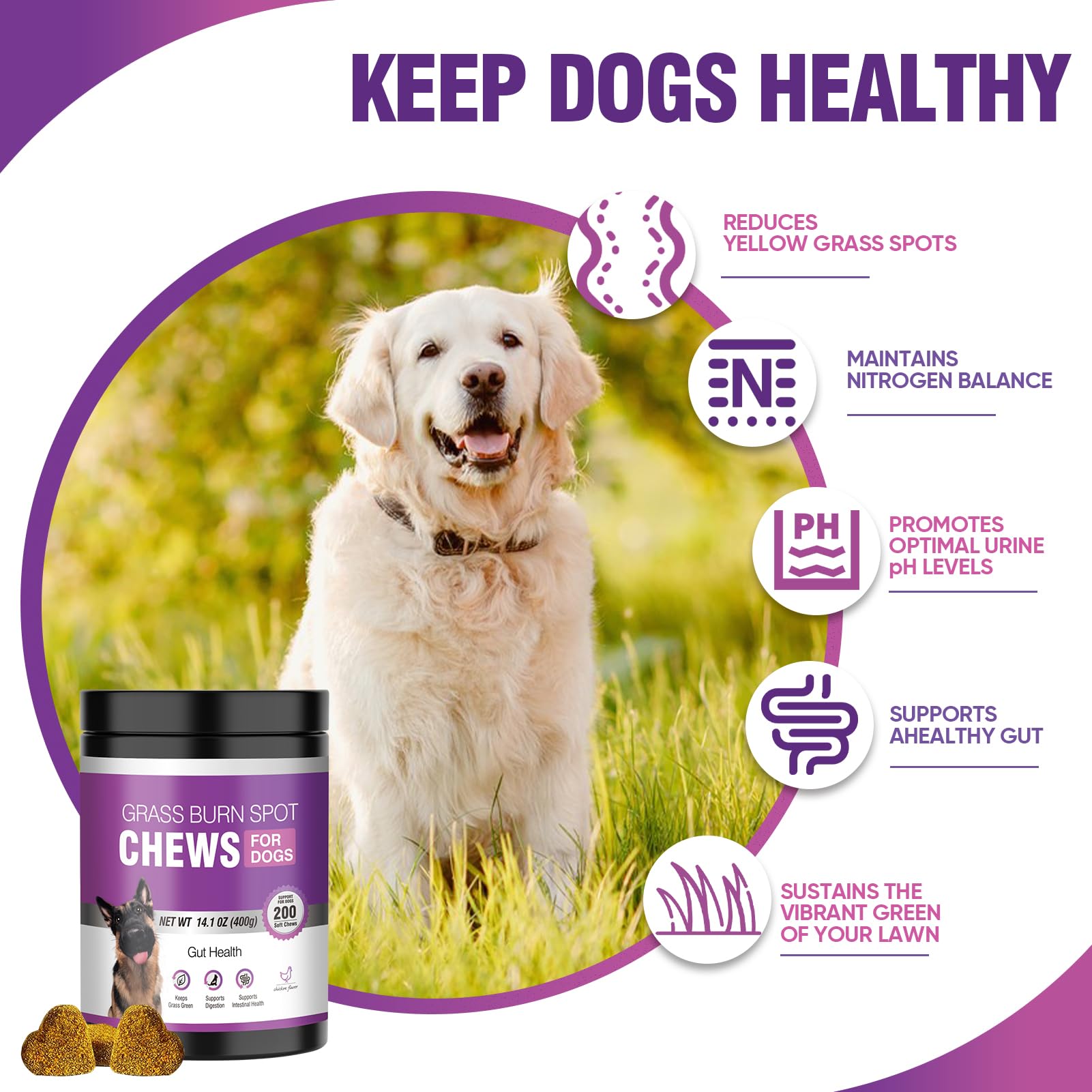 TTLXRL fórmula natural para la salud urinaria de perros.