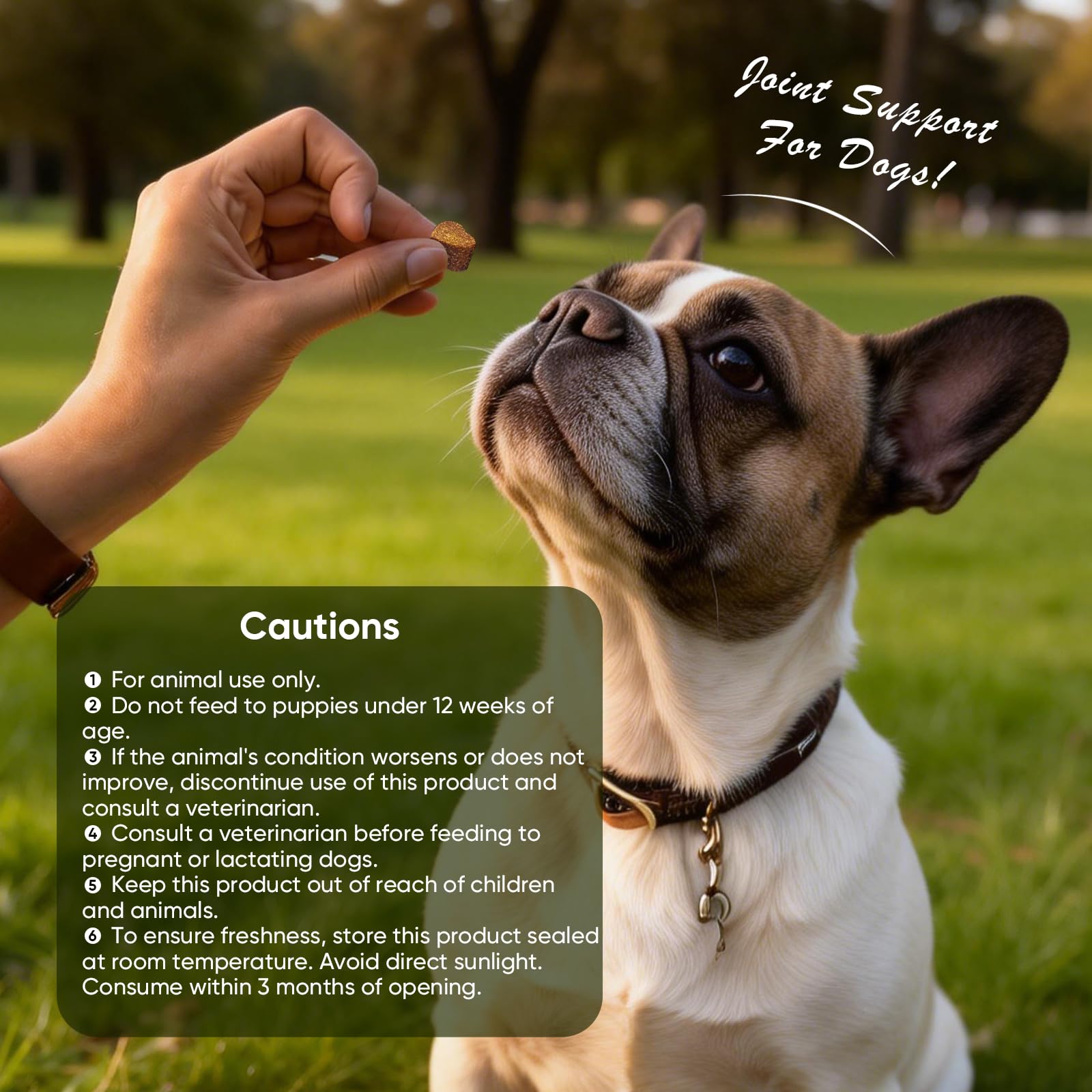 TTLXRL glucosamina para perros: ideal para la rutina diaria de articulaciones.