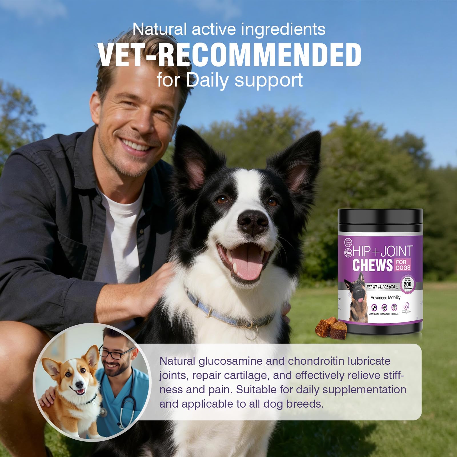 TTLXRL glucosamina para perros sabor pato, apto para razas grandes y activas.