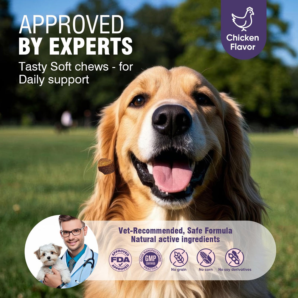 Vitaminas TTLXRL para sistema inmune canino y vitalidad.
