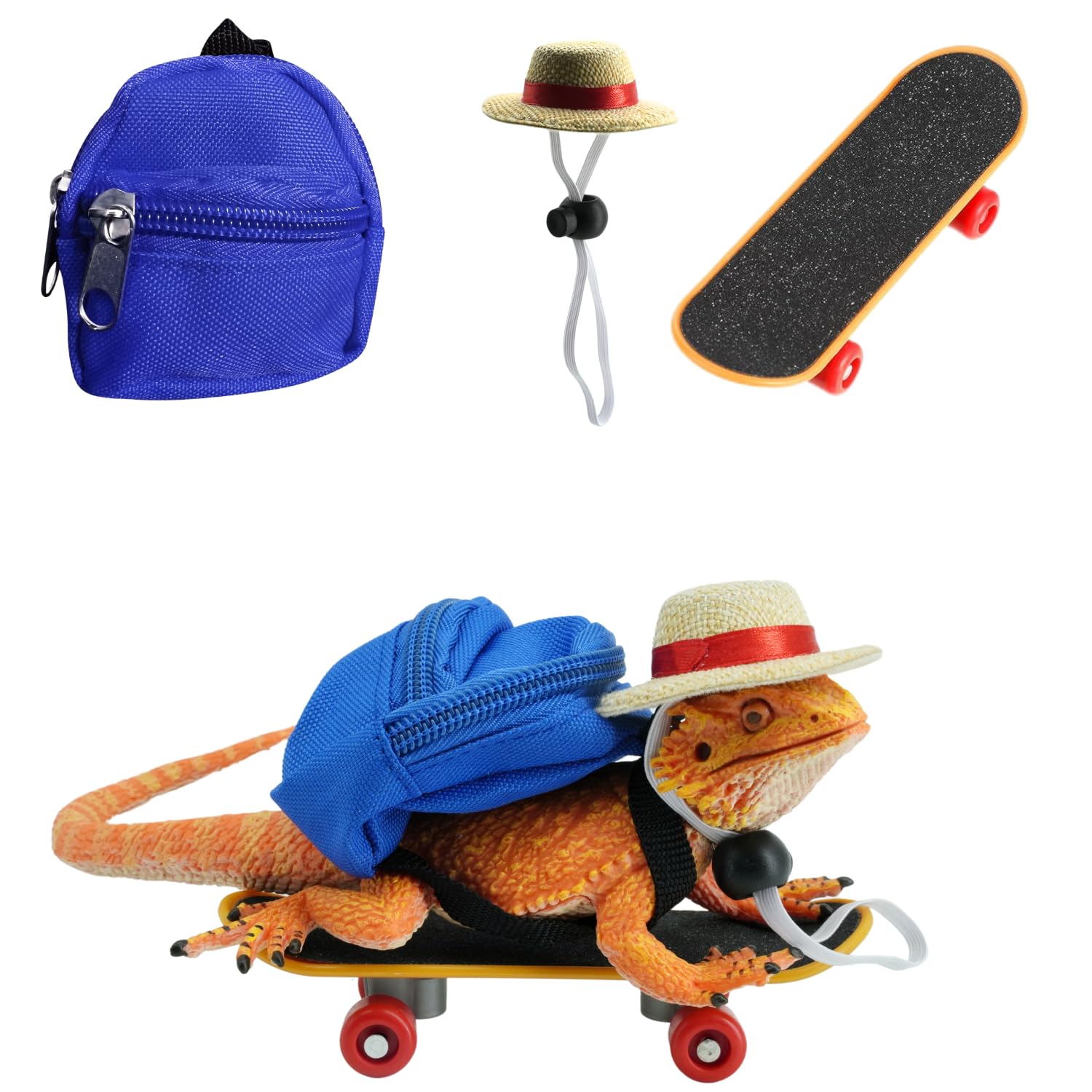 TTMIMIK sombrero miniatura para reptil: protección y estilo al exterior.