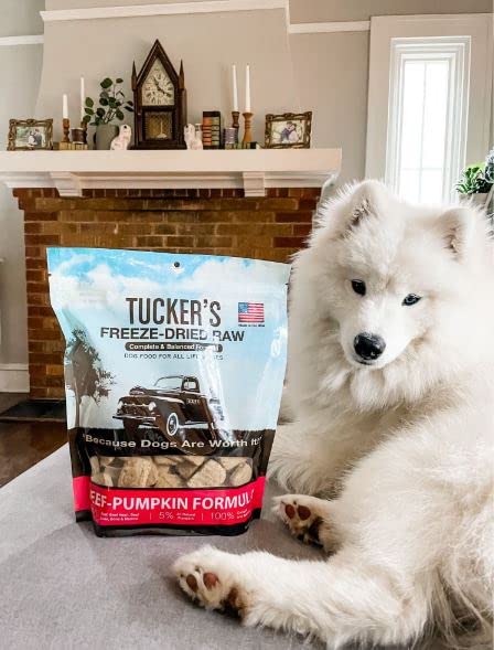 Tucker's Raw Frozen ofrece proteínas de calidad y sabor para dueños ocupados