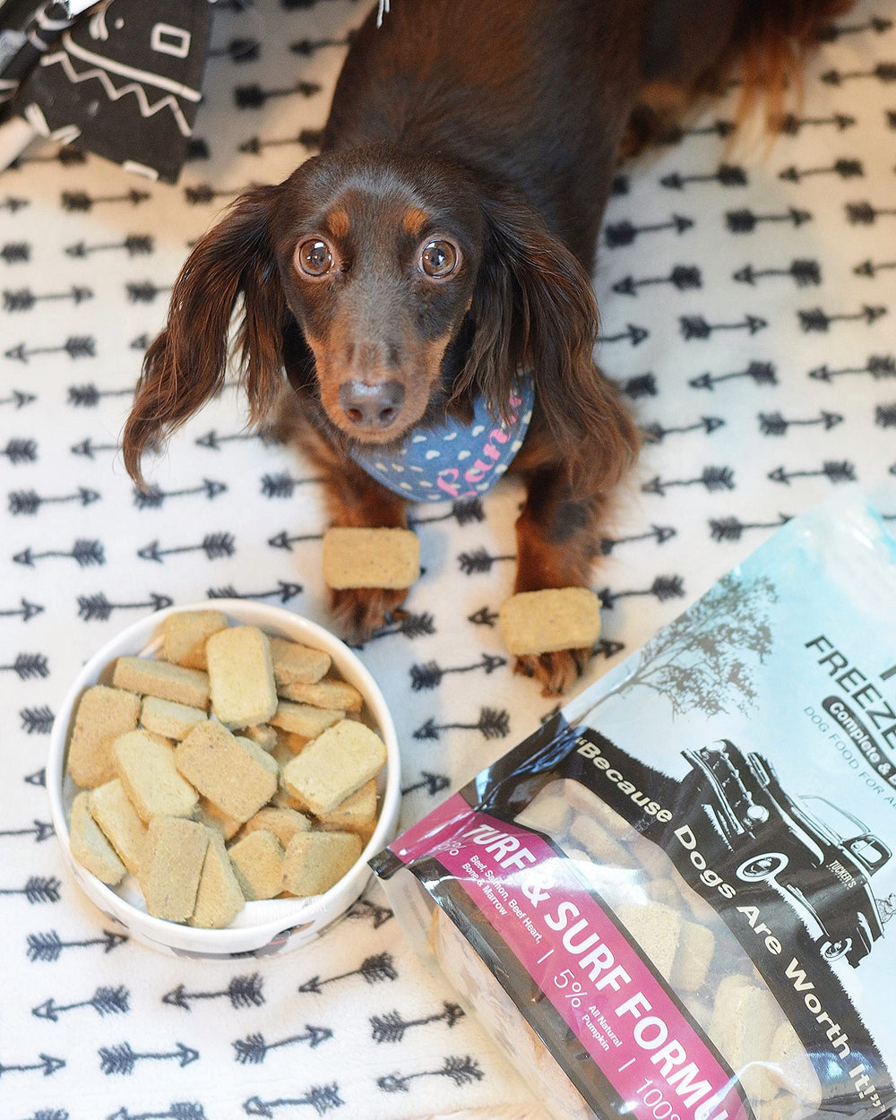 Aroma y sabor atractivos de Turf & Surf para perros exigentes.