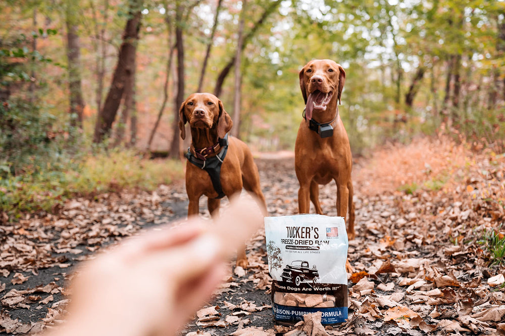 Tucker's Raw Frozen uso-seguro-perros: guía de uso recomendado.