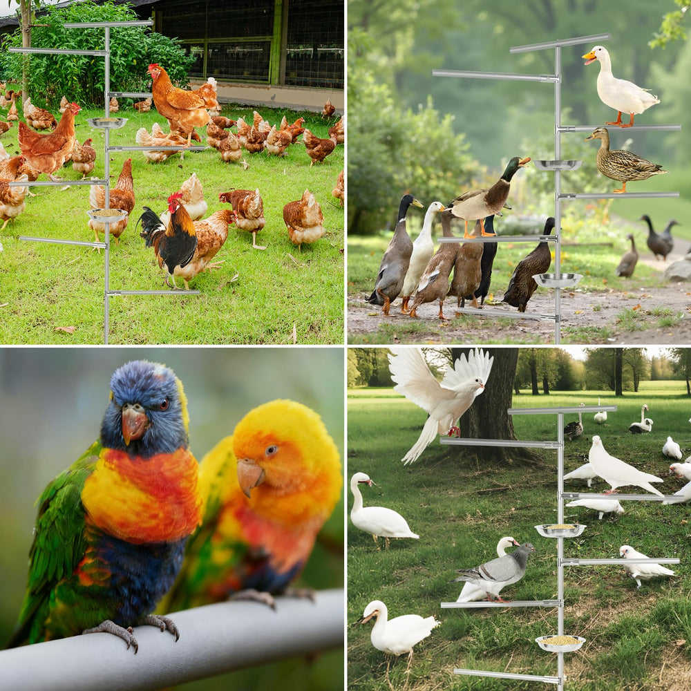 Tuenort combinación de percha y estación de forraje para aves