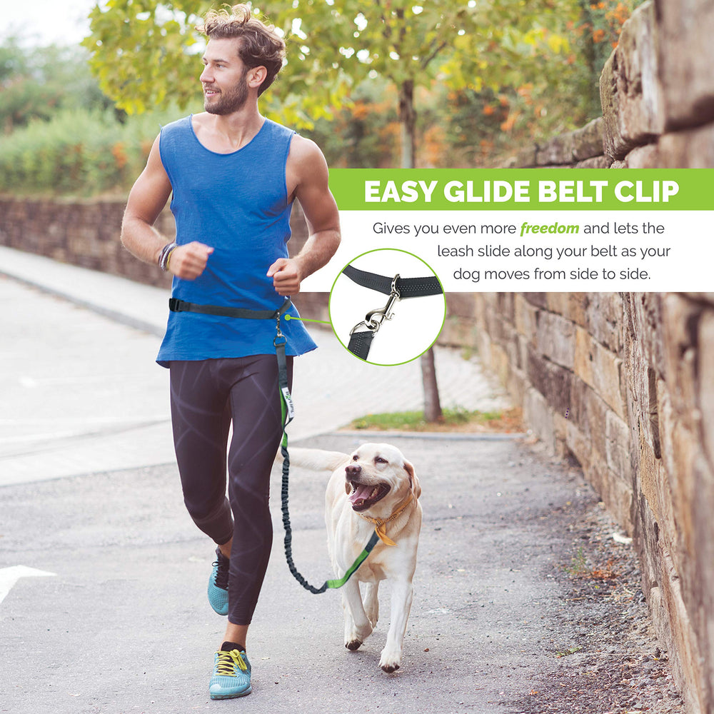Tuff Mutt: costuras reflectantes para mayor visibilidad nocturna.