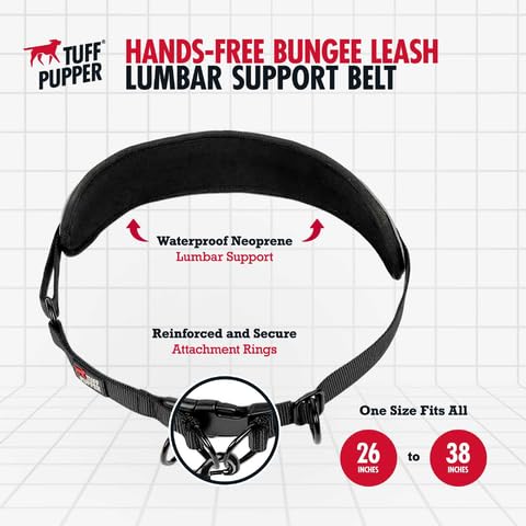 Desacopla el bungee para usarla como una correa tradicional para dos perros.