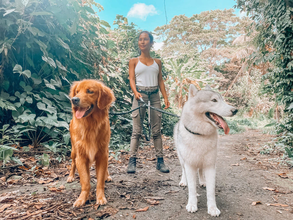Clips giratorios de 360° de Tuff Pupper evitan enredos.