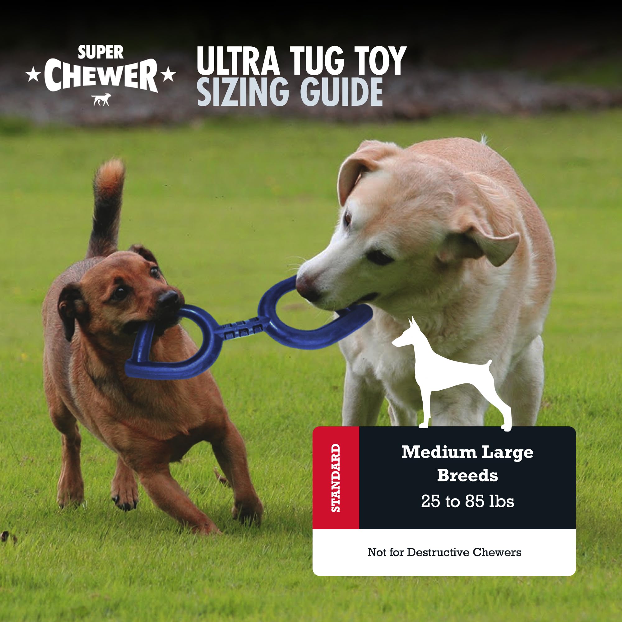 Juguete de caucho natural seguro para perros activos y fuertes.