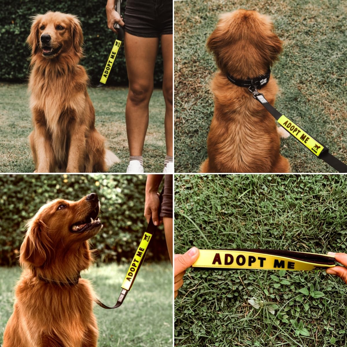 Tuff Pupper material-durable-neopreno-silicona, protección duradera contra desgaste.