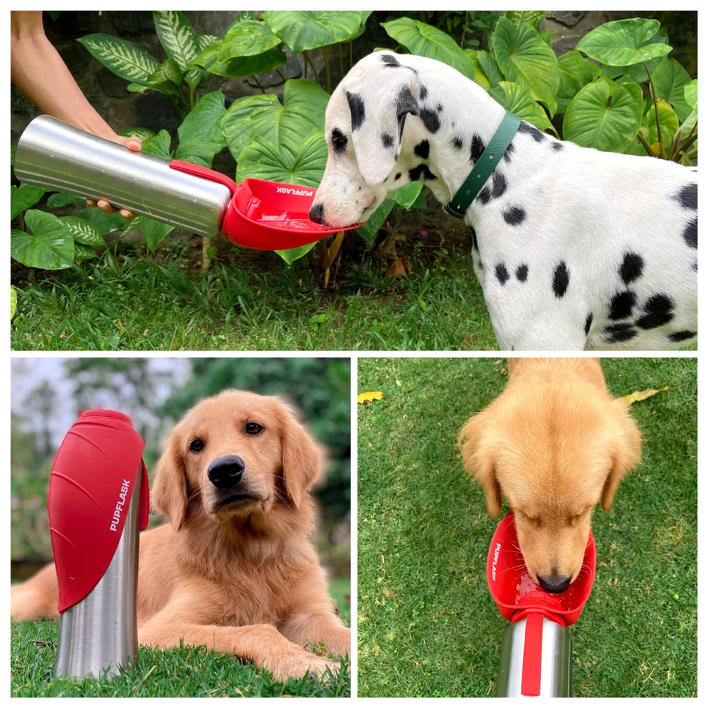 PupFlask anti fugas de Tuff Pupper, diseño seguro para mochilas.