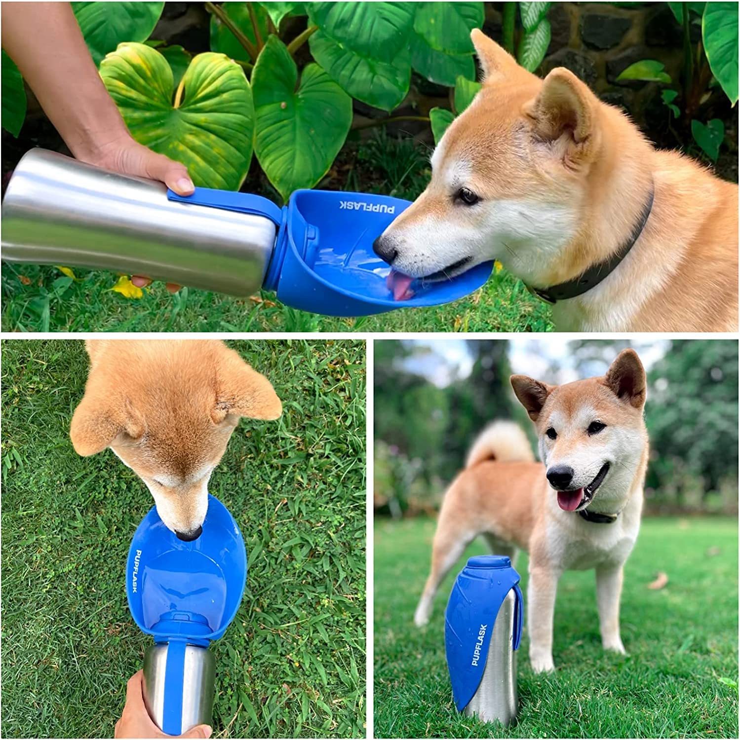 PupFlask de acero inoxidable resistente y duradero