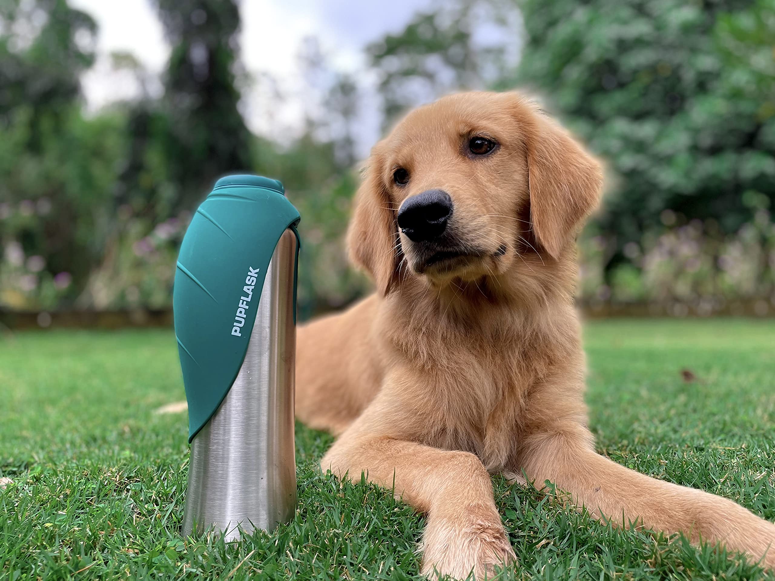 PupFlask diseño compacto para todas las razas y viajes.