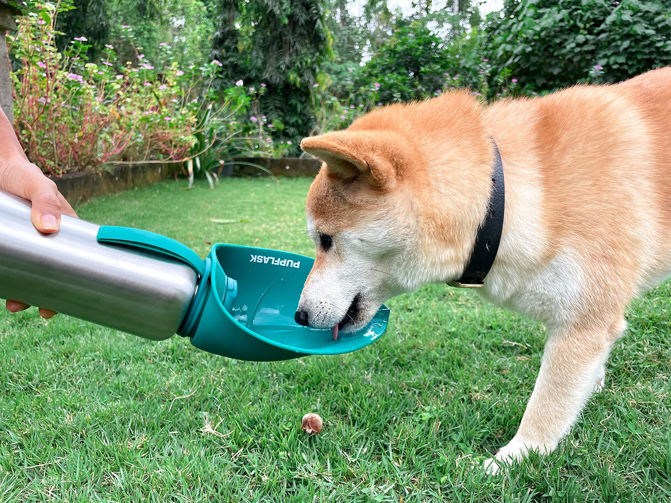 Diseño resistente de PupFlask para uso diario con mascotas.