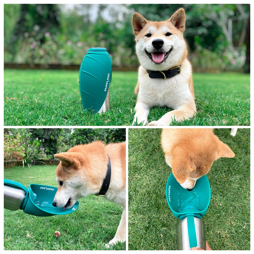 PupFlask para viajes, ideal para perros activos.