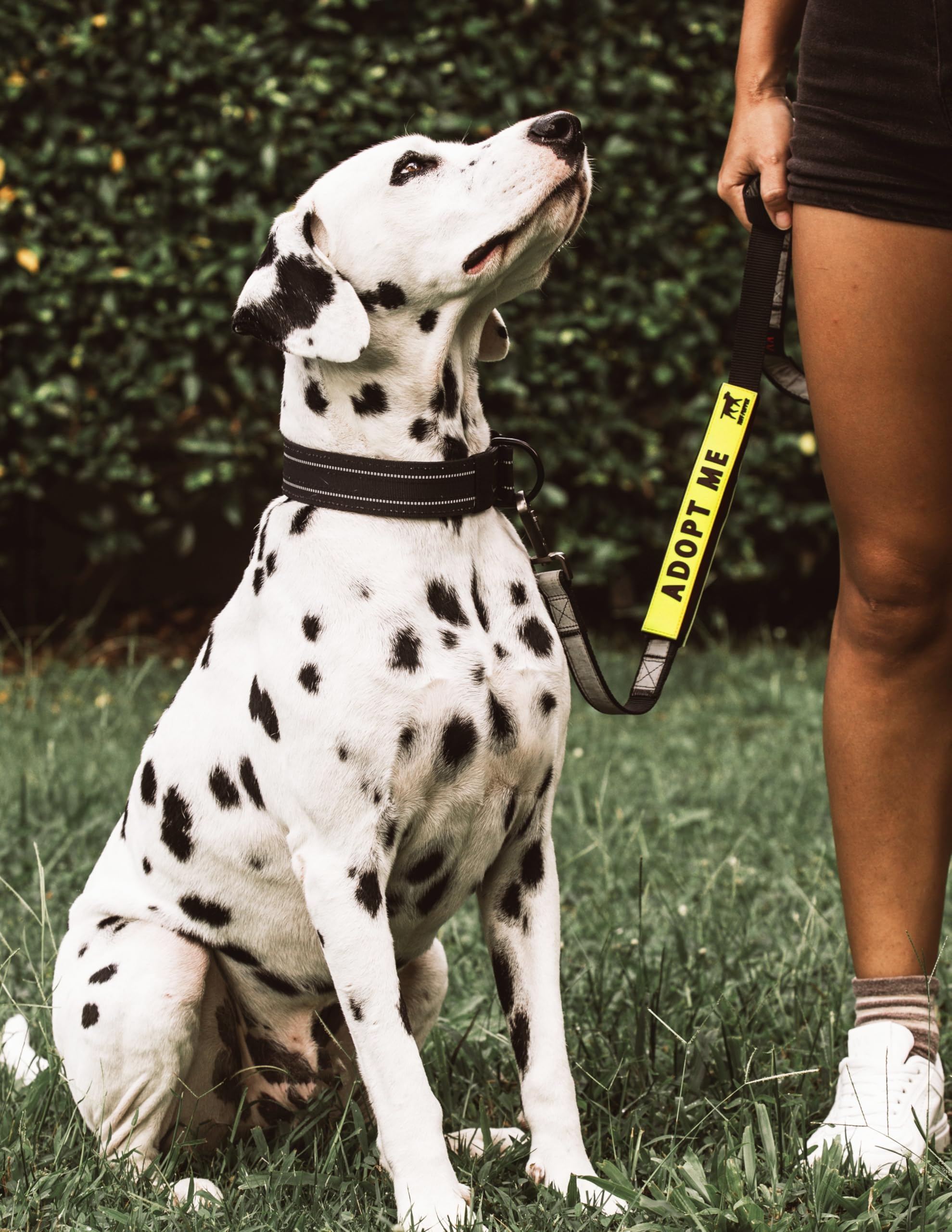 Tuff Pupper visibilidad-alta, mensaje legible a distancia.