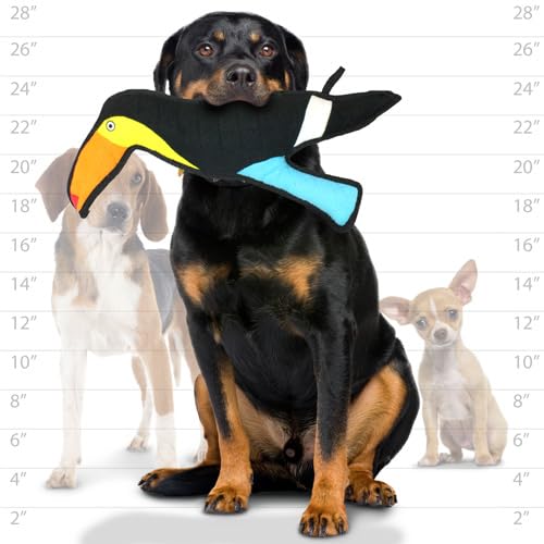 TUFFY Tucán del Zoo: varias capas para mayor durabilidad durante las sesiones de juego.