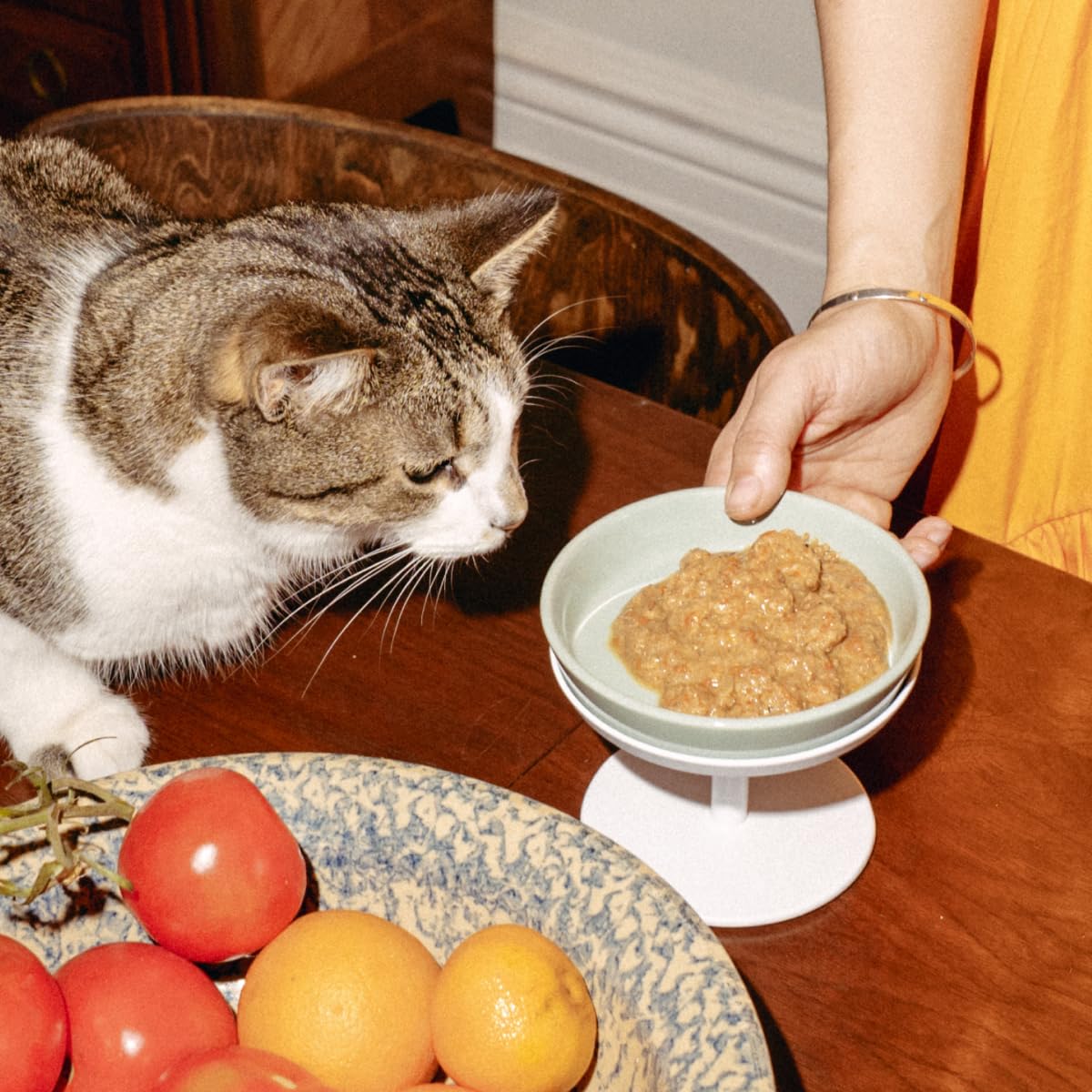 TUFT + PAW uso diario en casa, experiencia sabrosa en cada comida.