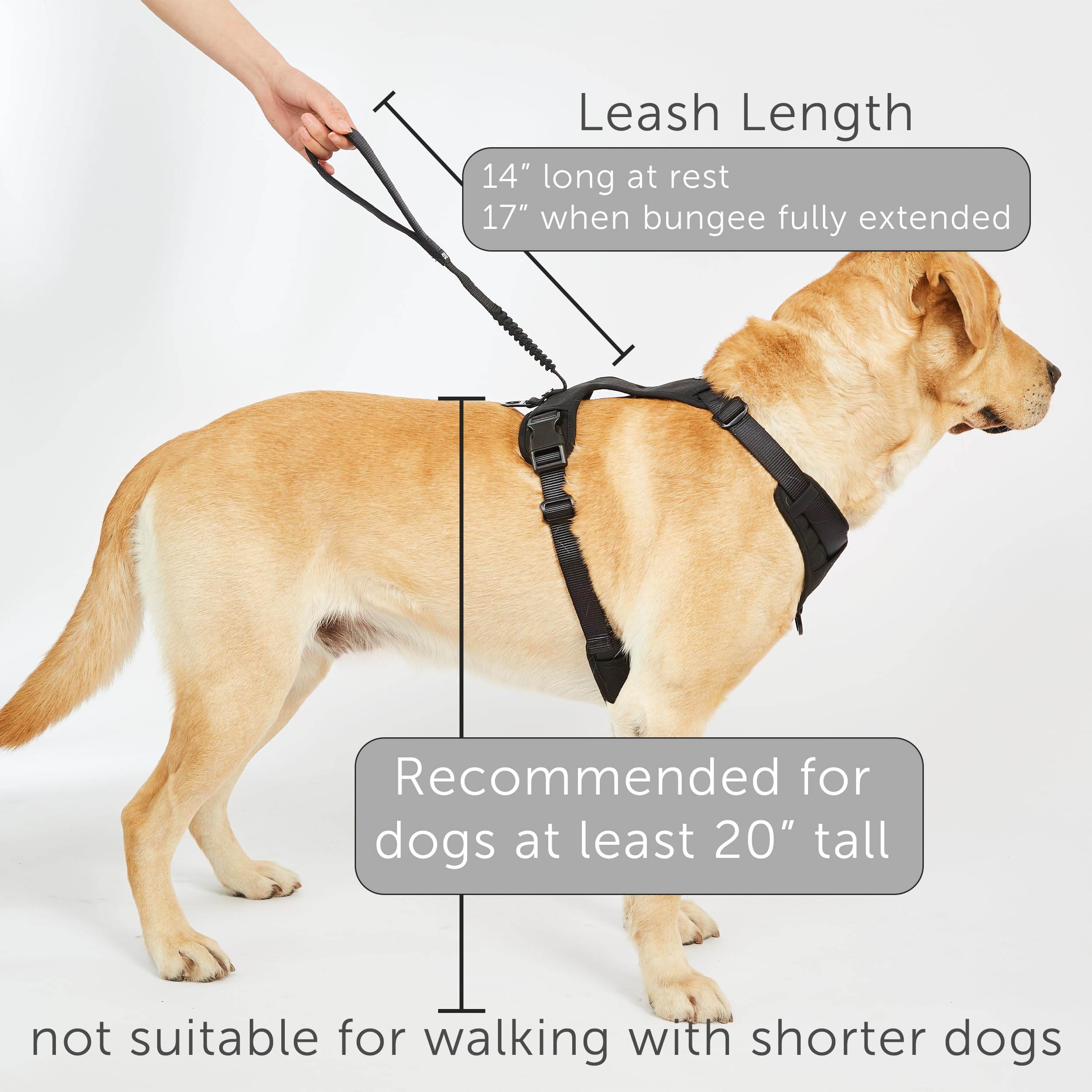 TUG Grab Dog Harness nylon resistente, diseñado para perros activos.