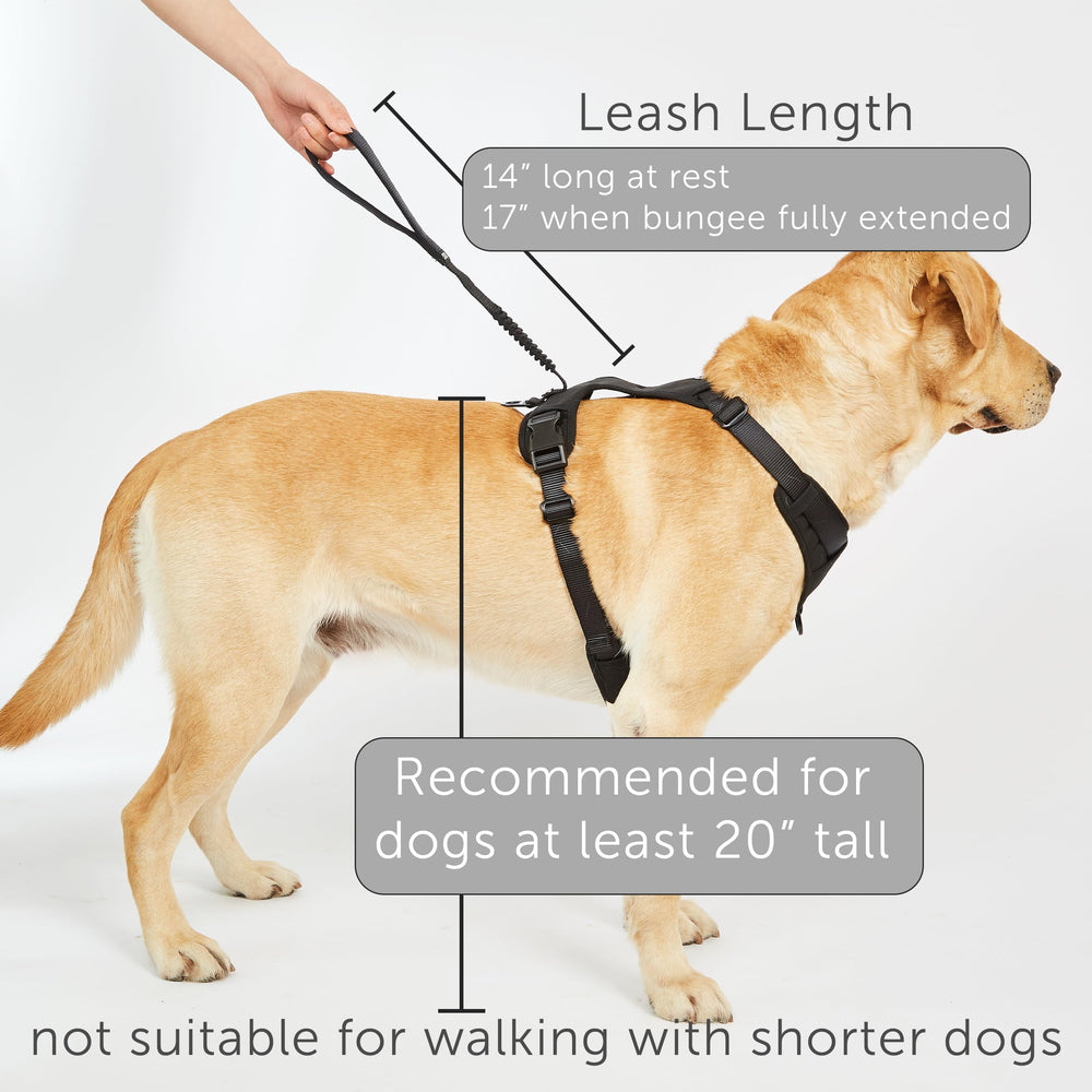 TUG Grab Dog Harness nylon resistente, diseñado para perros activos.