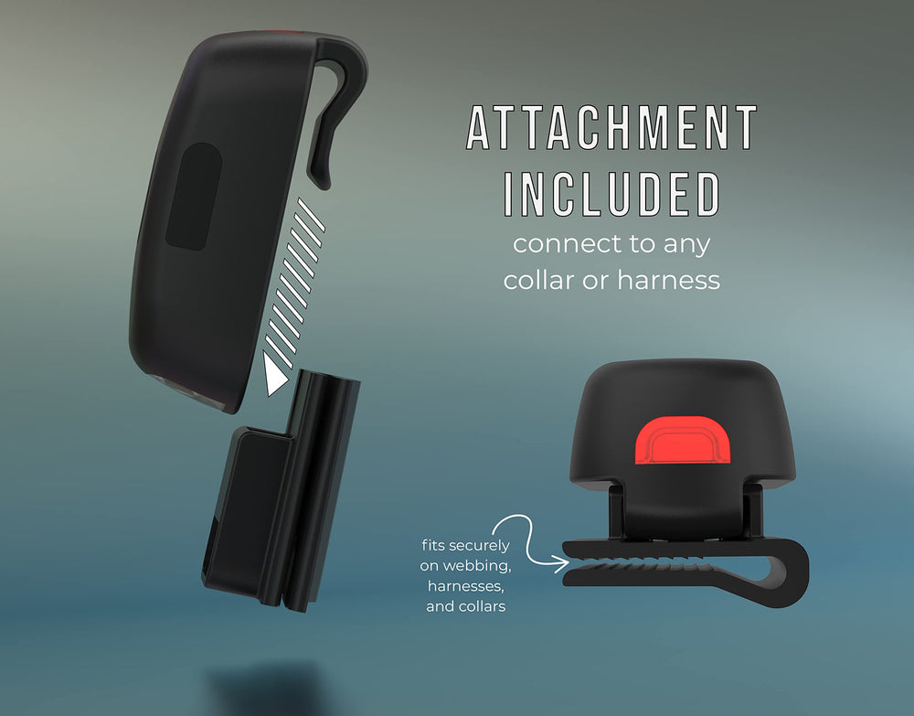 TUG Oval 360° clip de conexión para arnés o collar, uso versátil durante el paseo.