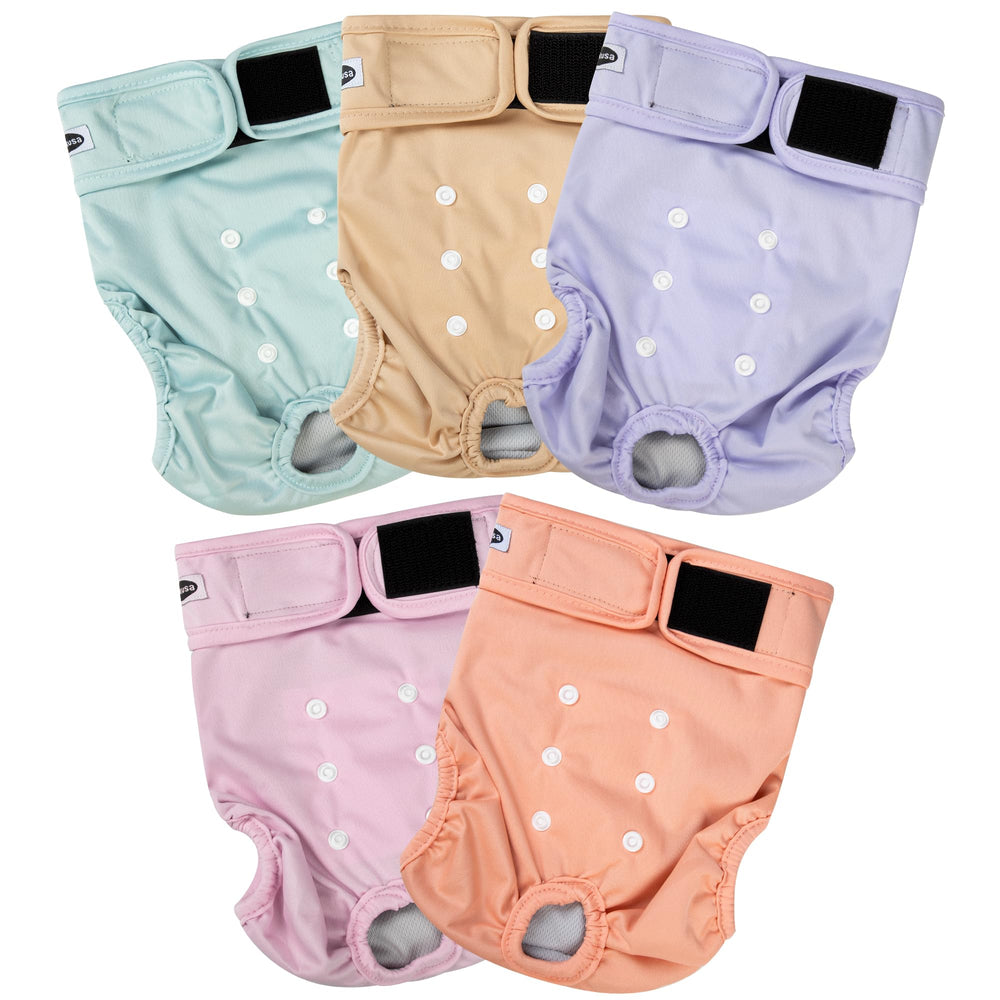 Tuiskusa pañales para perras, absorción alta para viajes y paseos.