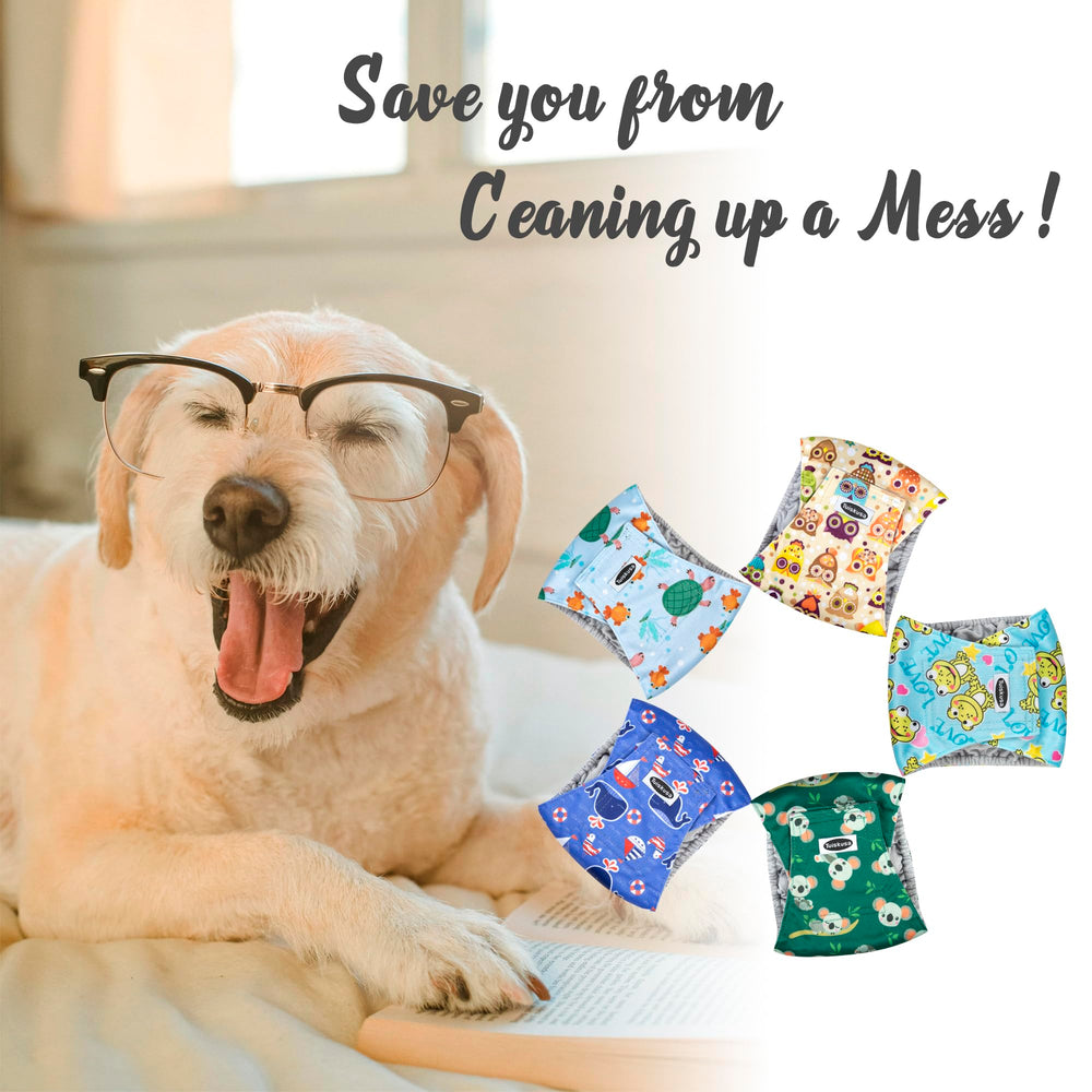 Paquete de 5 panales Tuiskusa para perros machos reutilizables