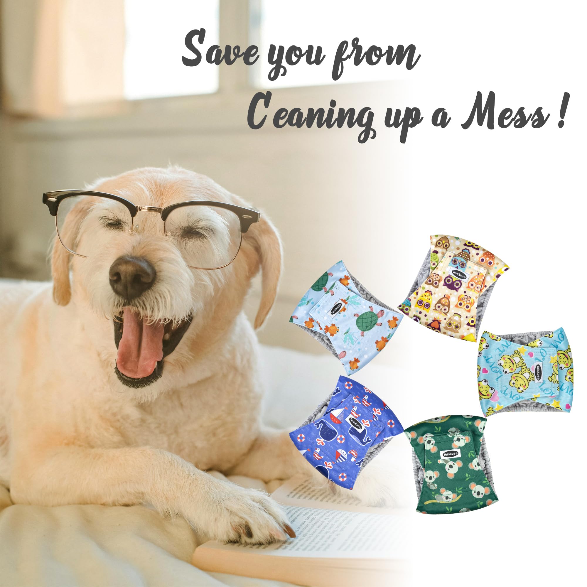 Pañales con Velcro Tuiskusa para perros machos, fijación firme durante paseos.