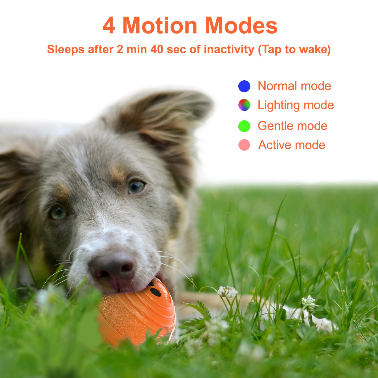 TVM bola interactiva con carga rápida, lista para jugar.