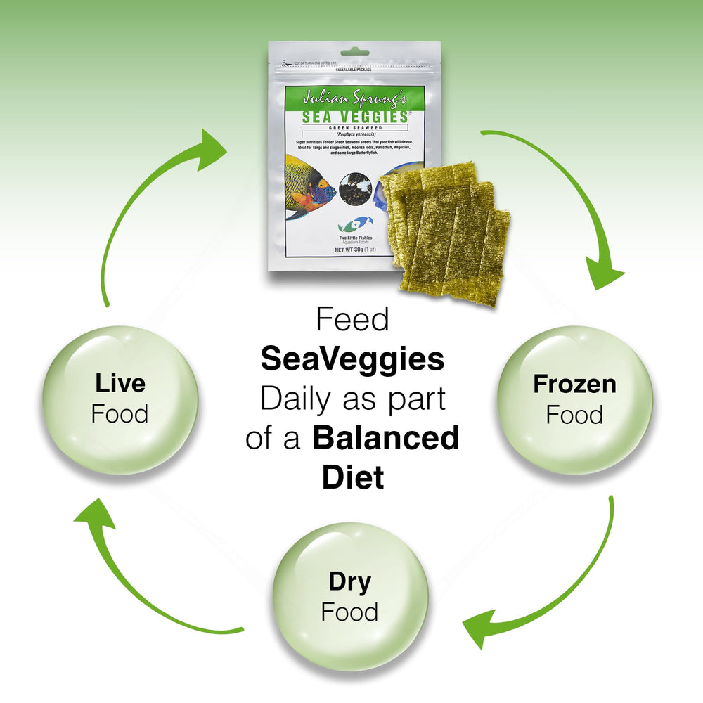 Two Little Fishies Sea Veg-Green Seaweed como complemento de la dieta del acuario.