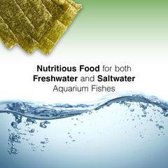 Two Little Fishies Sea Veg-Green Seaweed para tangs y peces cirujanos.